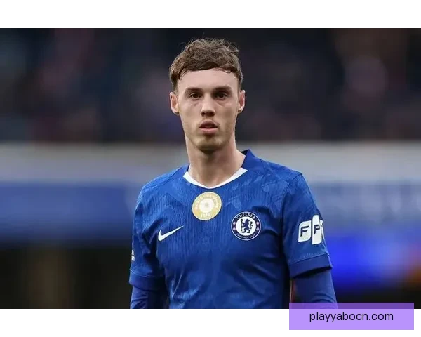 B费力荐接班人即使降级也要卖6000万仍比帕尔默便宜