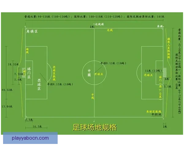 世界杯精彩竞猜策略全解析，让你赢在每一场比赛