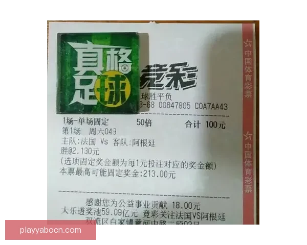 世界杯竞猜网站全攻略新手入门投注技巧与赛事预测深度解析指南